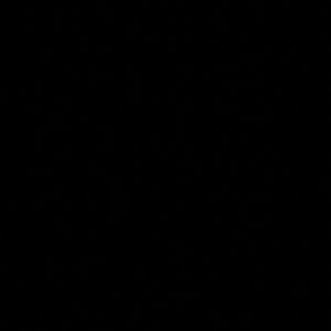 Meet your Posher, Bailey